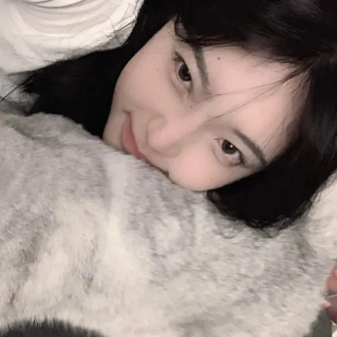 李米的猜想